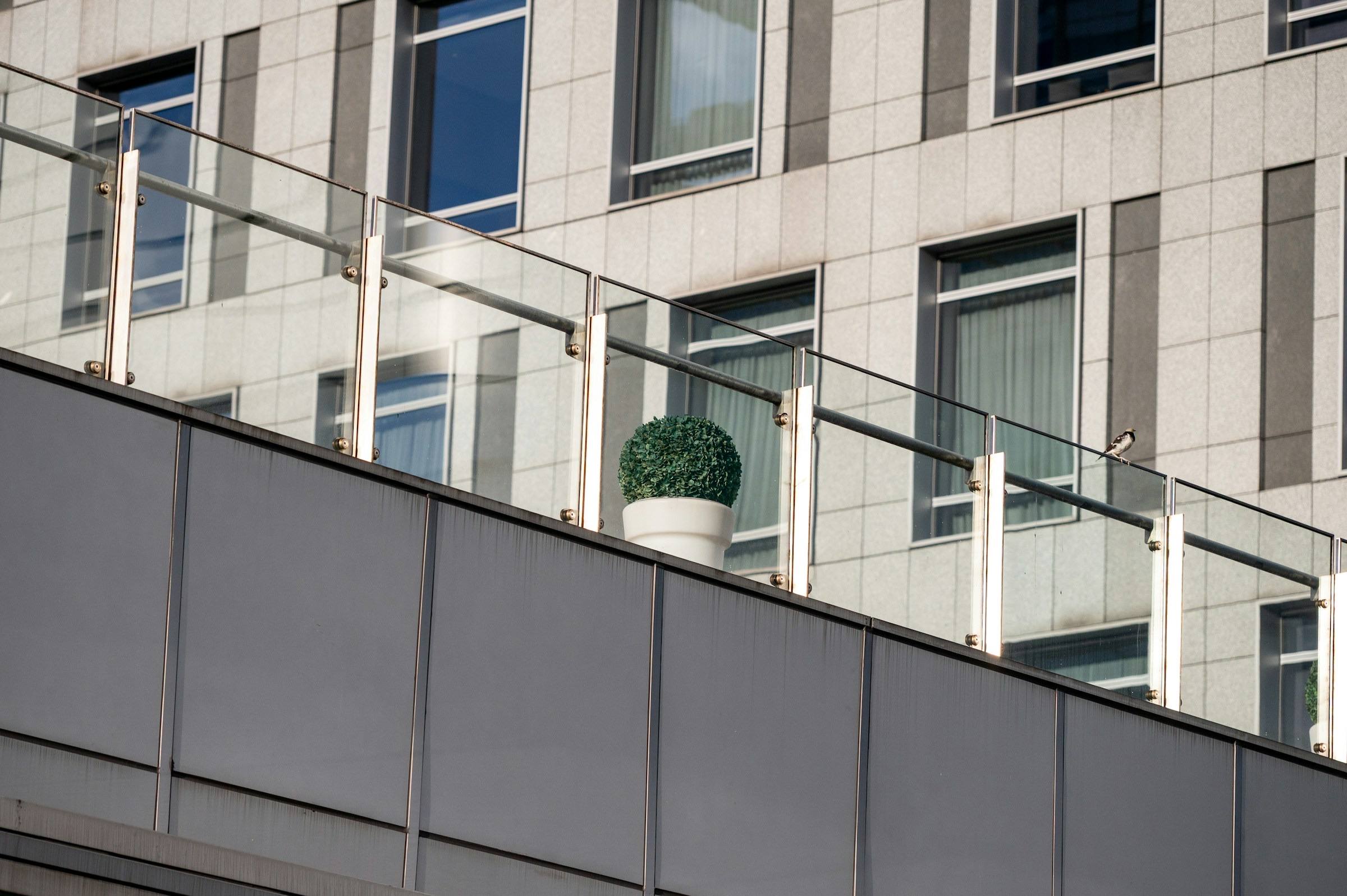 Garde-corps en verre et main courante inox en bordure de toit-terrasse